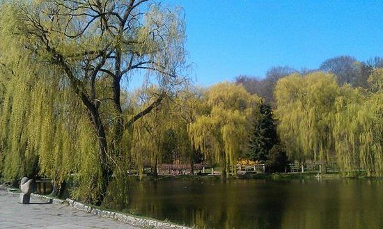 Wypożyczalnia rowerów
